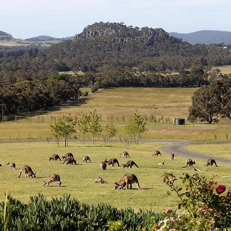 Hanging Rock Views Woodend Exterior photo